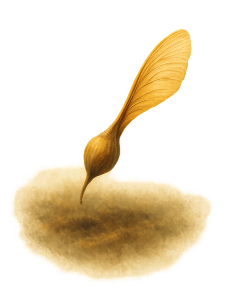 the art of starting over fertile soil